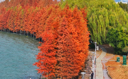 http://m.bjjcjs.cn/szgyyq/jsdt/202502/4d9d20e72c7d425cada95f797a1e160f/images/98a21992ddb44b309b353f6216cb0598.png